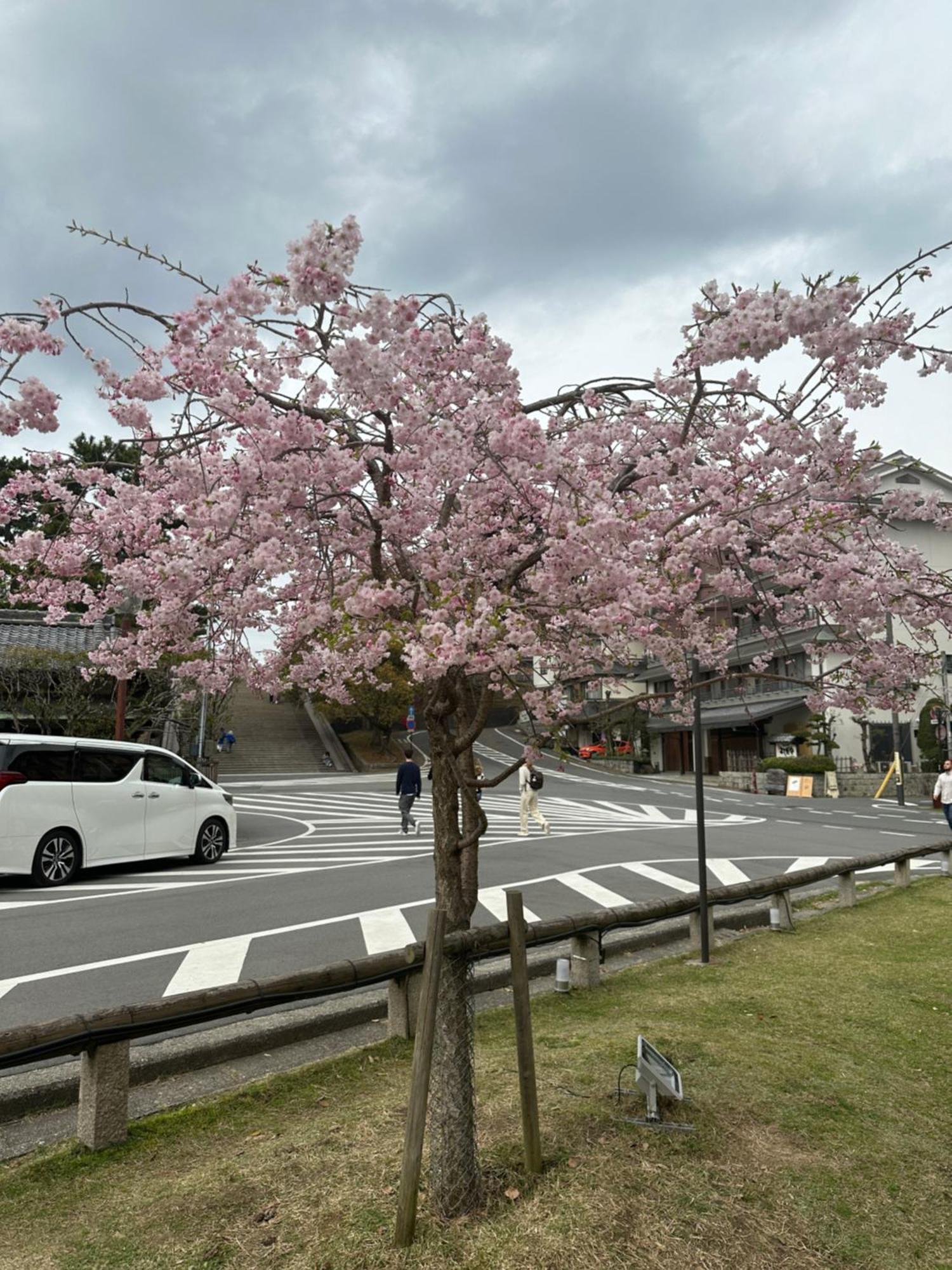 Ryokan Kousen Kazeya Group Hotel Nara Exterior photo