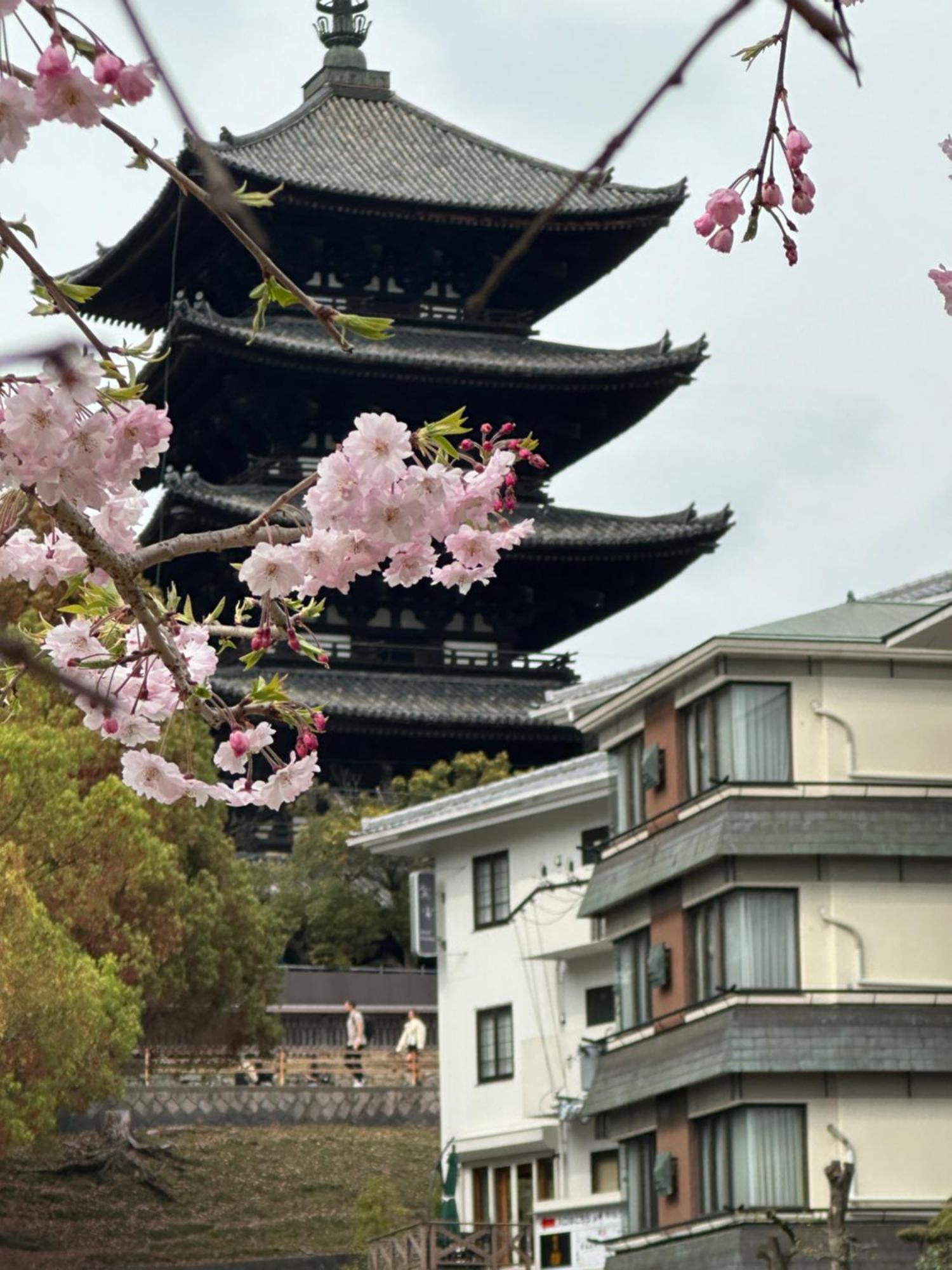 Ryokan Kousen Kazeya Group Hotel Nara Exterior photo