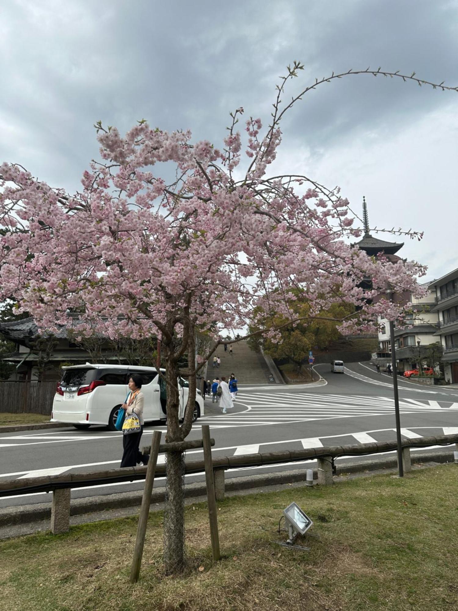 Ryokan Kousen Kazeya Group Hotel Nara Exterior photo